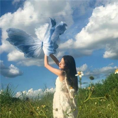 那些鸟事